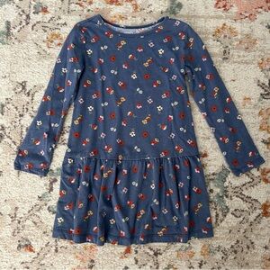 Carter’s Drop-waist Dress